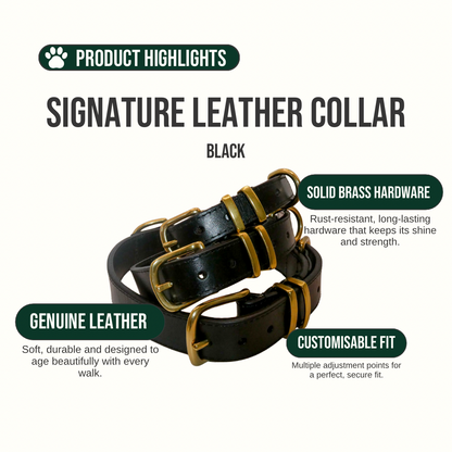 Black leather collar with gold hardware on a white background, featuring product highlights.