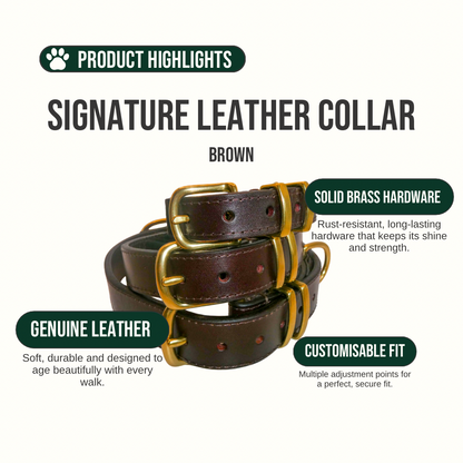 Brown leather collar with gold hardware on a white background, featuring product highlights.