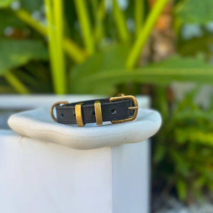 Signature Leather Dog Collar - Black