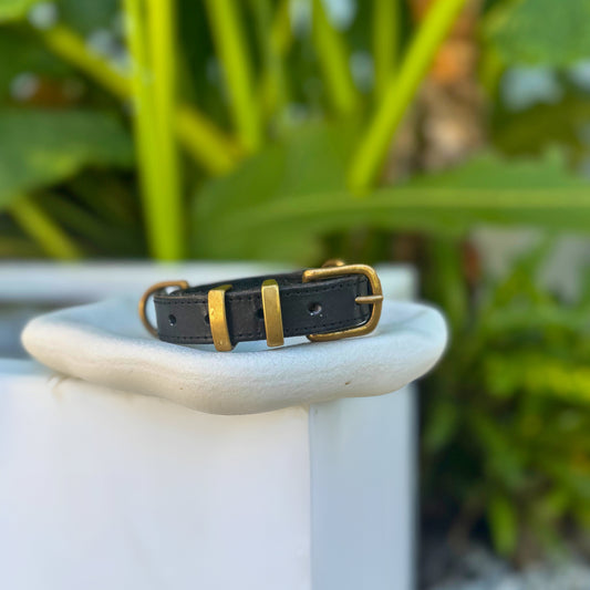 Signature Leather Dog Collar - Black