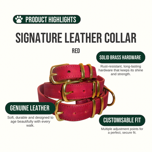Signature Leather Dog Collar - Red