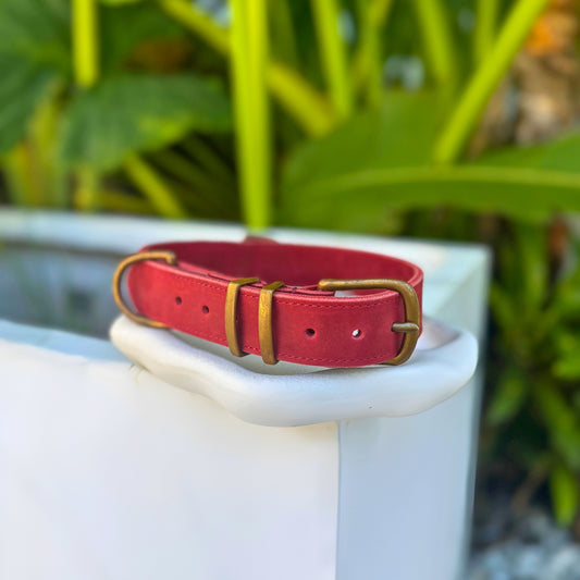 Signature Leather Dog Collar - Red