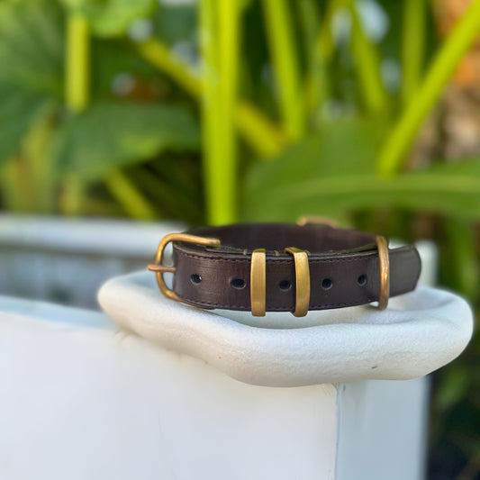 Signature Leather Dog Collar - Brown